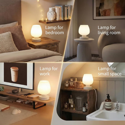 Modern Small Touch Table Lamp for Bedroom and Living Room